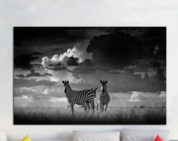 Zebra Couple Canvas Art Black And White African Savannah