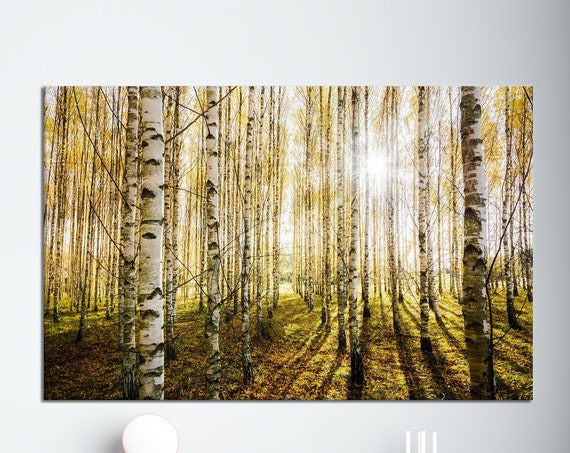 Birch Forest Canvas Print Modern Landscape Wall Art