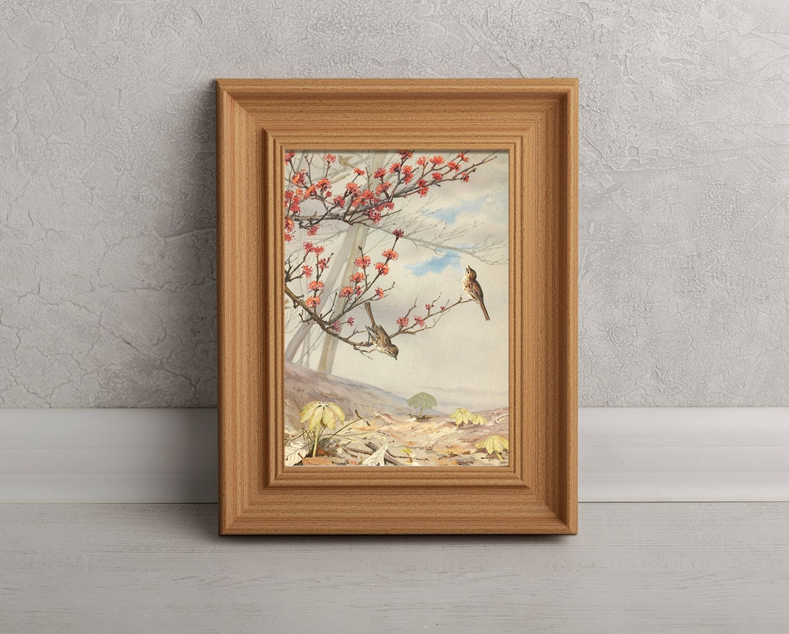 Vintage Birds On Blossoming Branch Red Flowers Antique Art Poster - Image 3