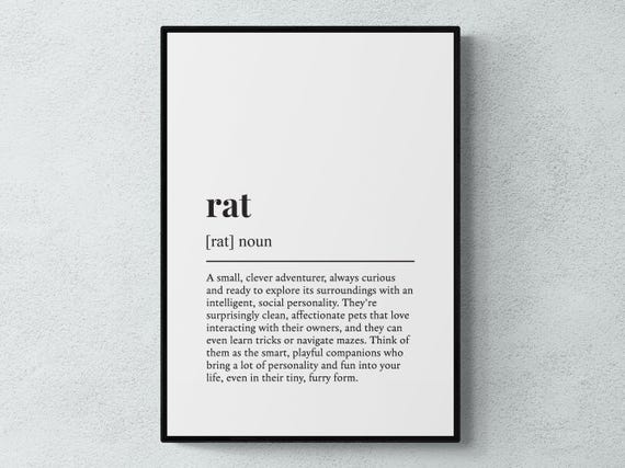 Rat Funny Definition, Pet Humor Poster Print