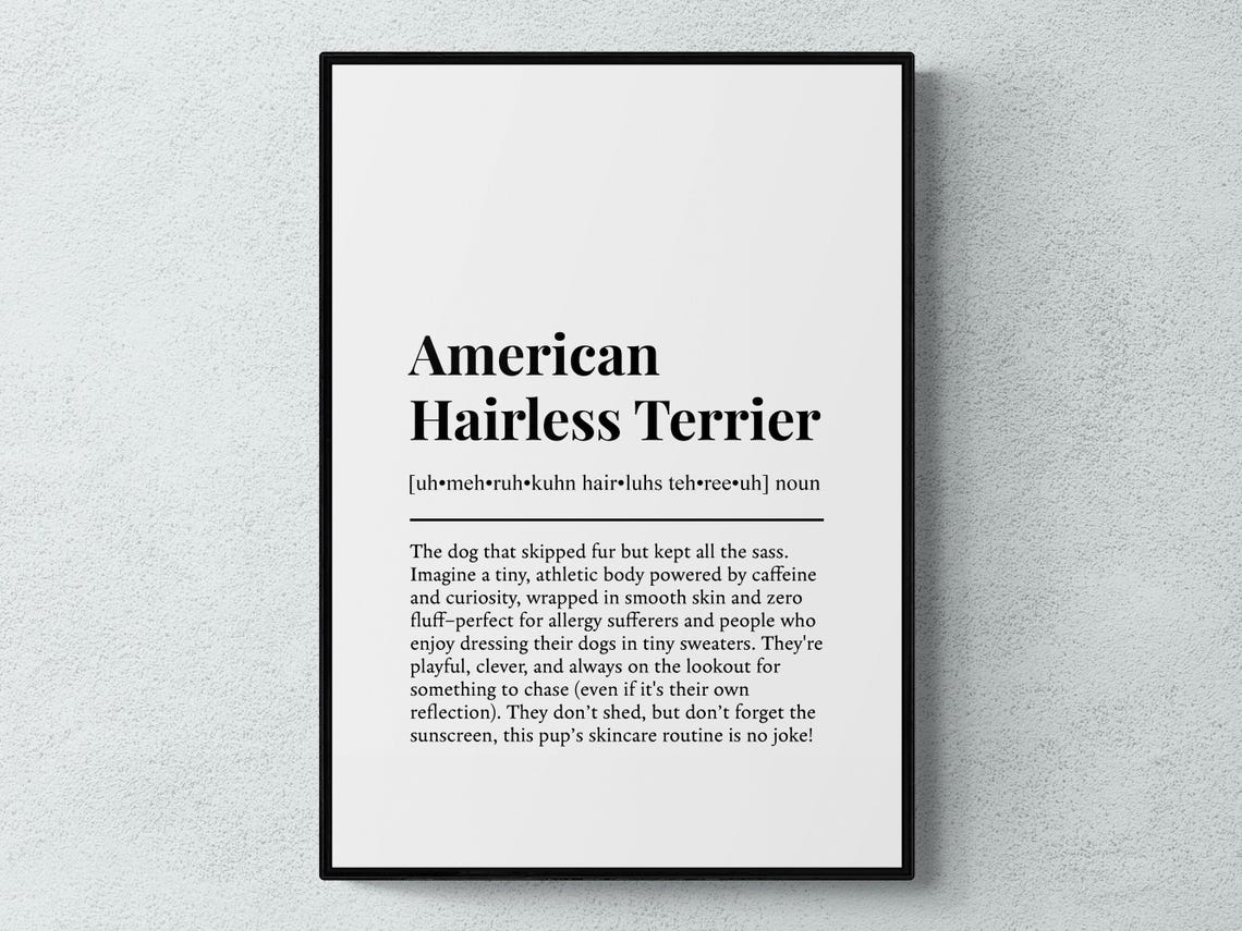 American Hairless Terrier Sass Dictionary Definition Art Poster