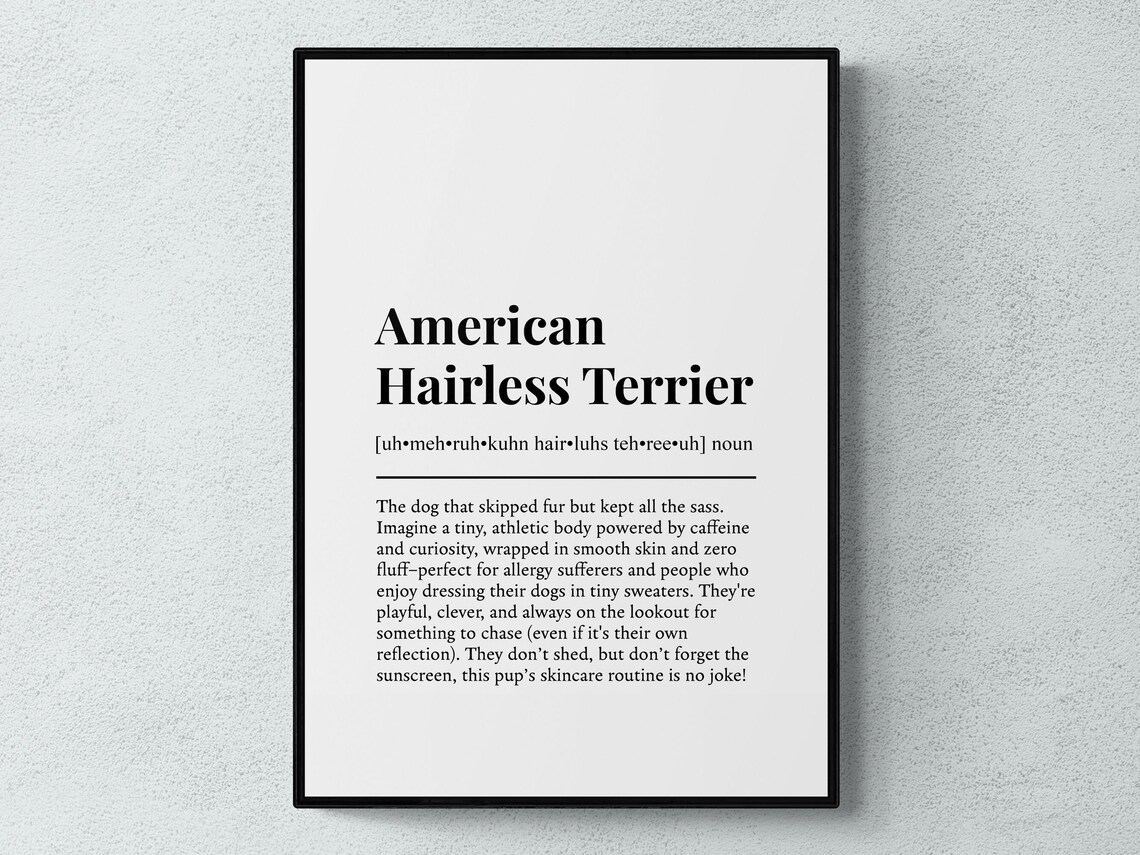 Hairless Terrier Funny Definition Dog Wall Art Print