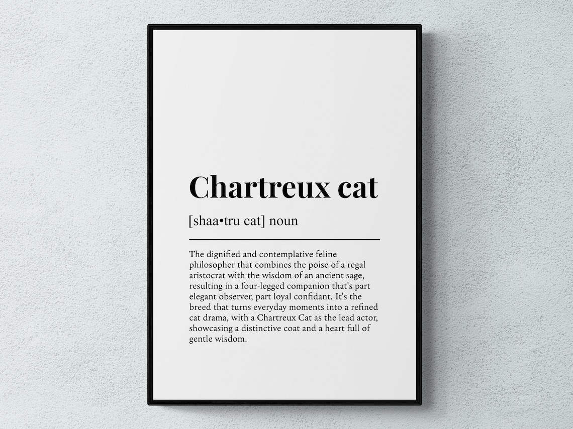 Chartreux Cat Funny Definition Breed Print Feline Lover Gift Wall Art Poster