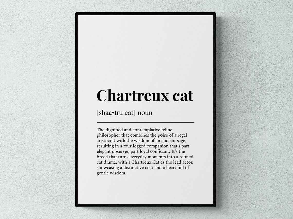 Chartreux Cat Funny Definition Dictionary Style Minimalist Wall Art Poster