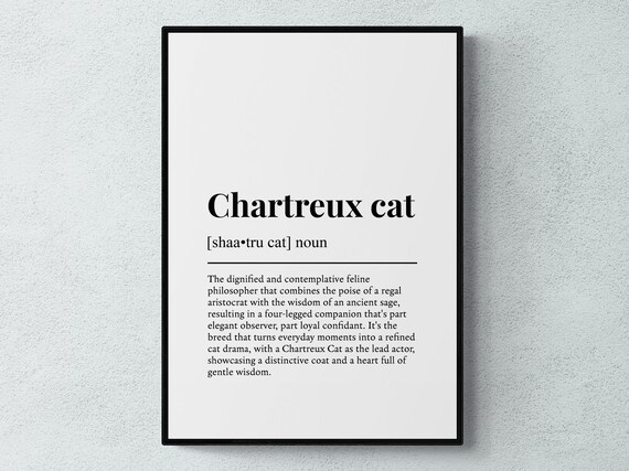 Chartreux Cat Funny Definition Dictionary Style Minimalist Wall Art Poster