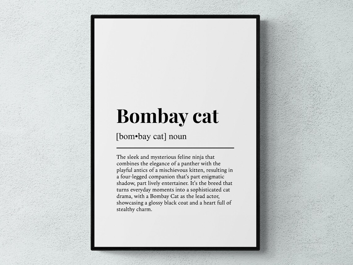 Bombay Cat Funny Dictionary Definition Black Feline Breed Poster