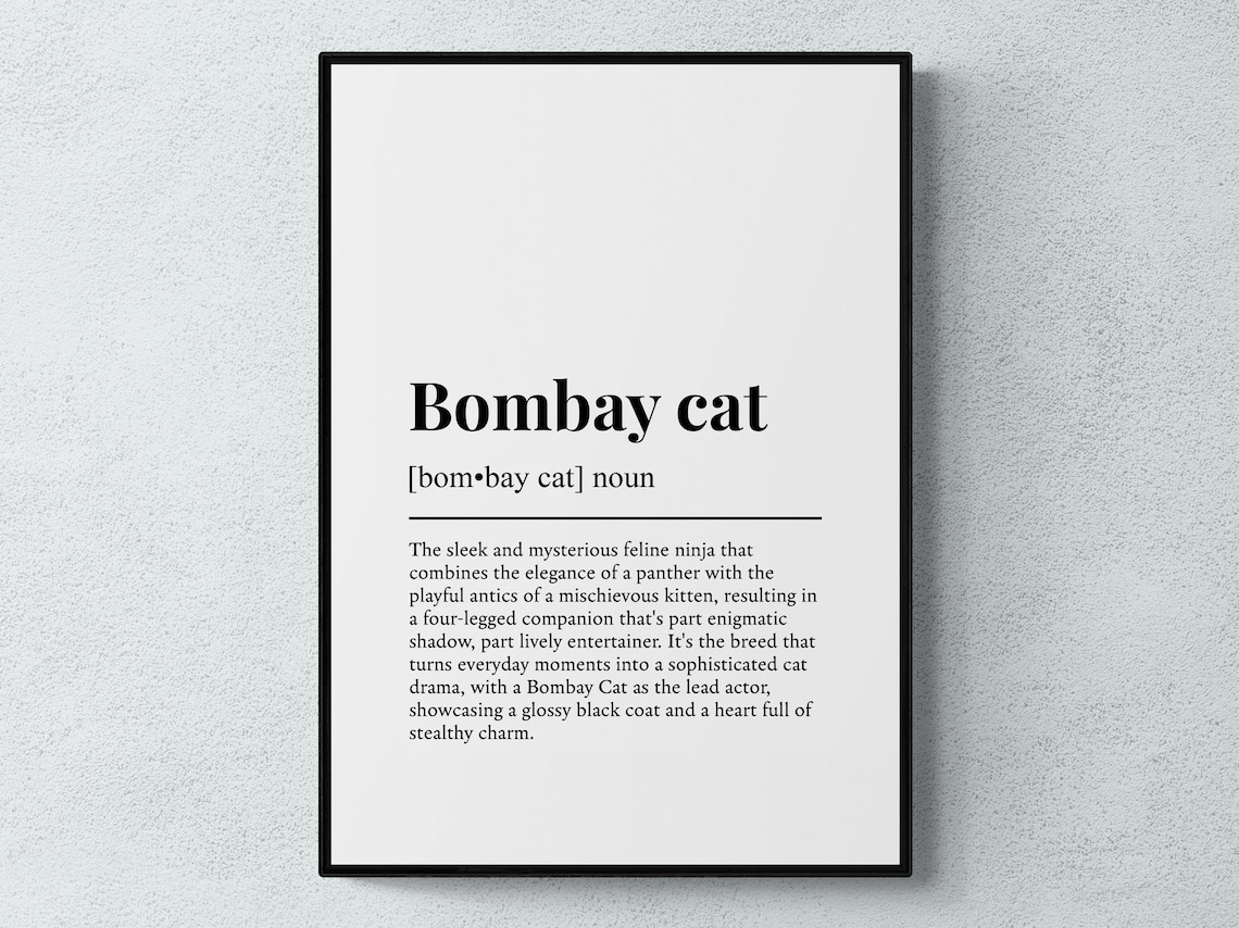 Bombay Cat Funny Dictionary Definition Sleek Minimalist Cat Lover Poster