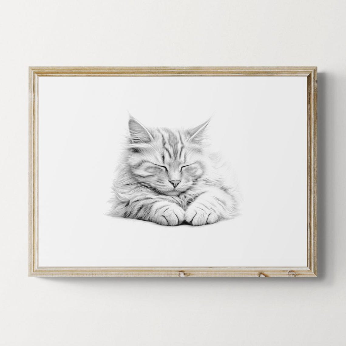 Sleeping British Longhair Cat Sketch Black White Fluffy Art Print