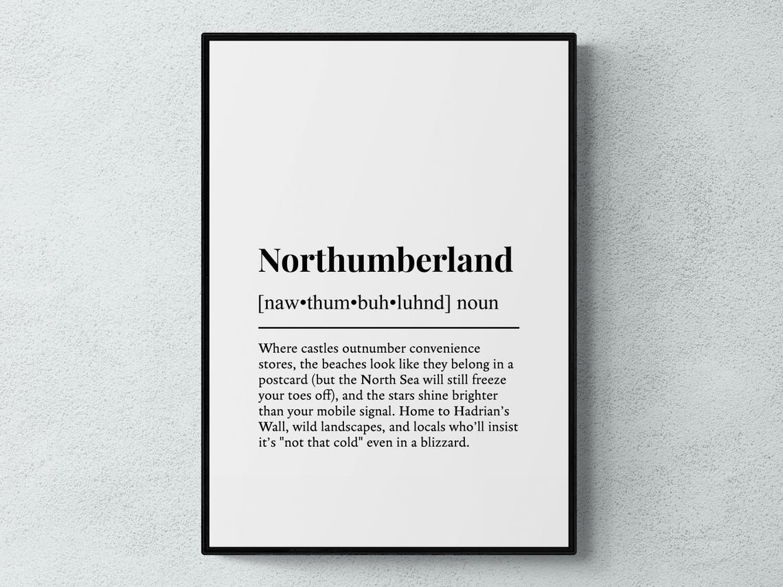 Northumberland Funny Dictionary Definition Castles Art Poster