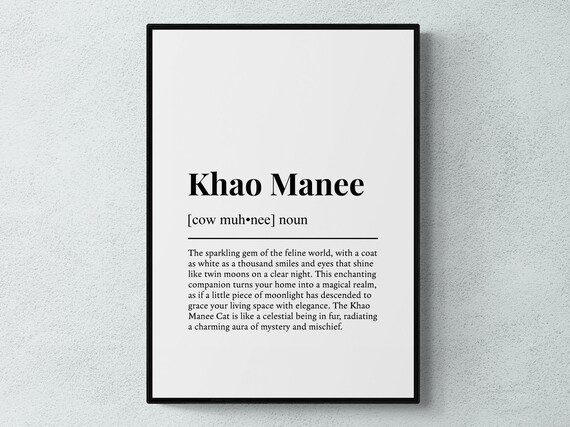 Khao Manee Funny Definition Dictionary Style Minimalist Wall Art Poster