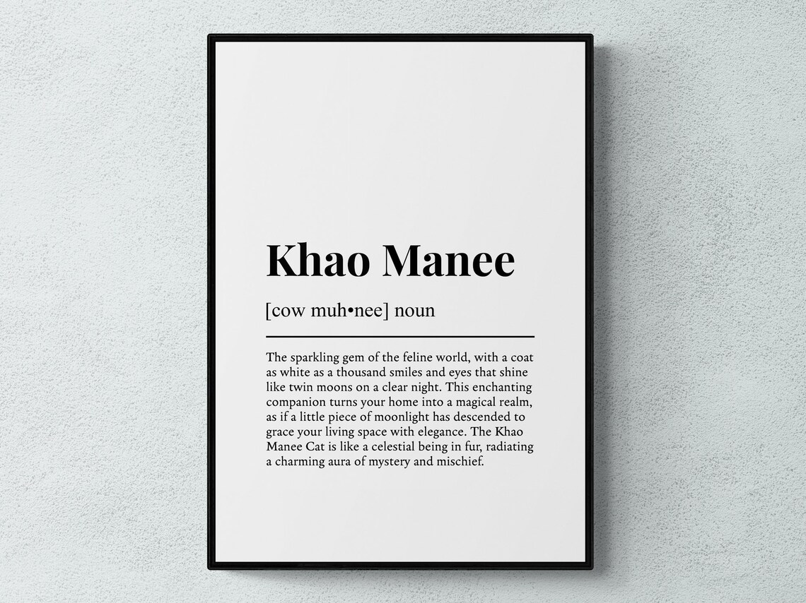 Khao Manee Funny Definition Dictionary Style Minimalist Wall Art Poster