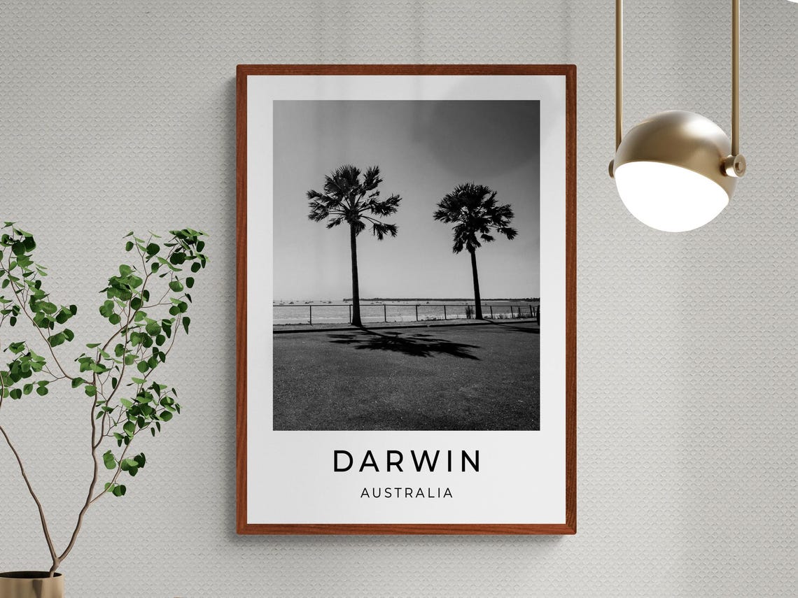 Darwin Australia Palm Trees Waterfront Esplanade Black White Poster - Image 3
