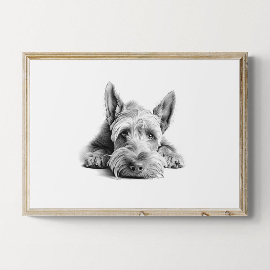 Scottish Terrier Puppy Scottie Wiry Beard Pencil Sketch Portrait Print
