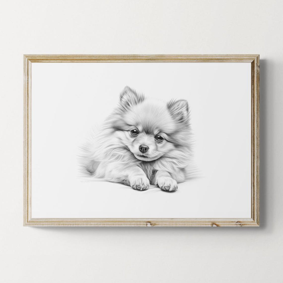 Pomeranian Puppy Fluffy Spitz Toy Pencil Sketch Portrait Print