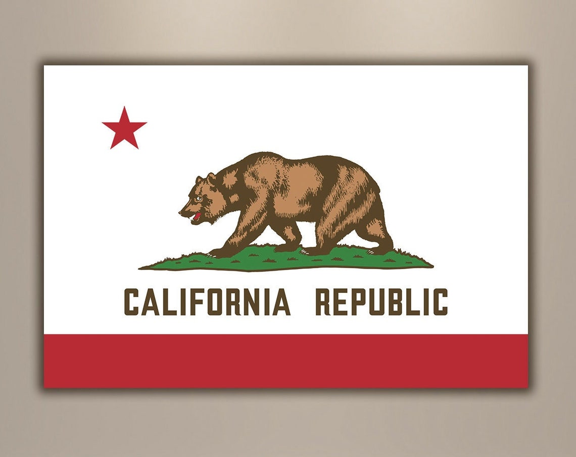 Bear Flag Print State Canvas Wall Art
