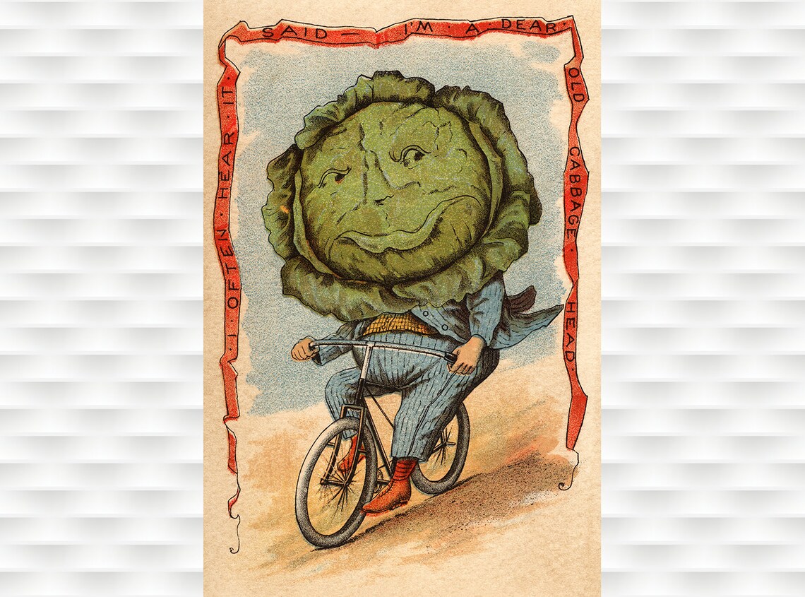 Cabbage Head Vegetable Person Bicycle Novelty Vintage Art Poster