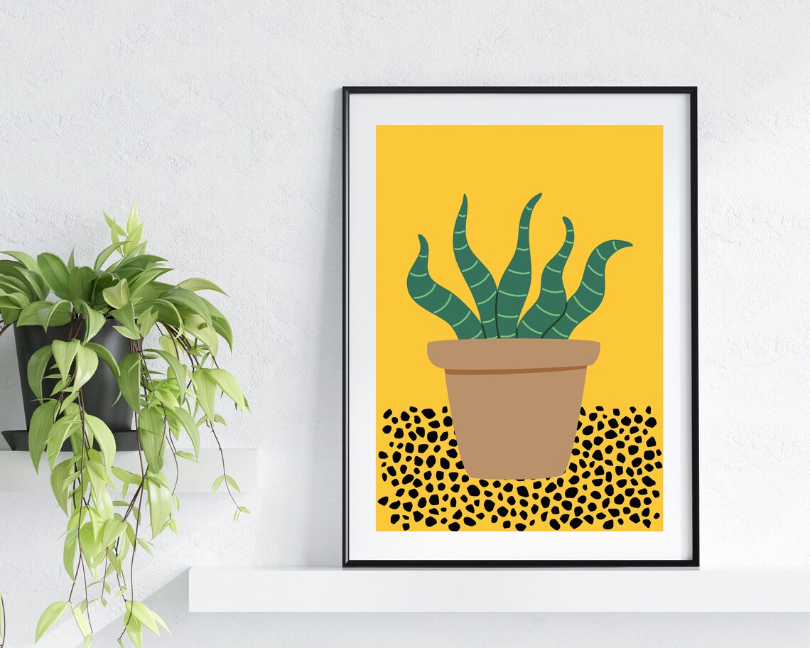 Snake Plant In Terracotta Pot Bright Yellow Spotted Ground Poster - Image 2