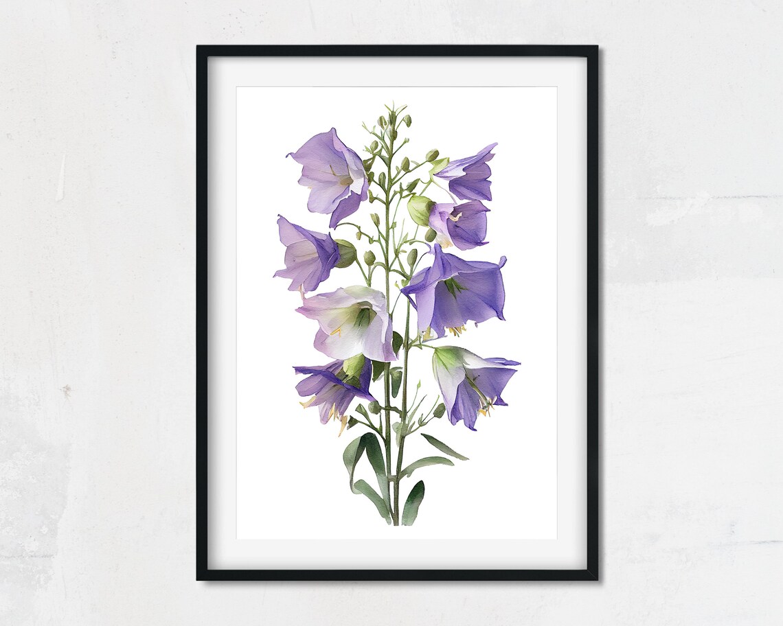 Watercolor Purple Bellflower Bloom Botanical Minimalist Art Poster - Image 2