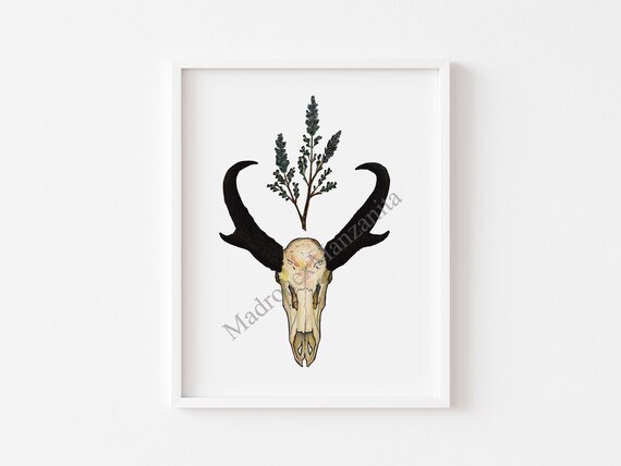 Pronghorn Skull with Sage Sprig Southwestern Boho Art Poster