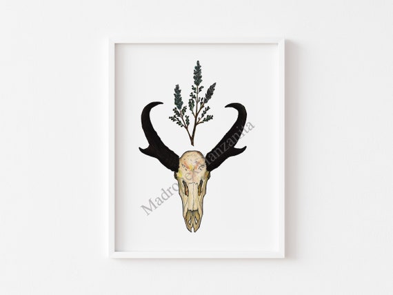 Southwestern Pronghorn Skull Sage Print Boho Spirit Animal Wall Art