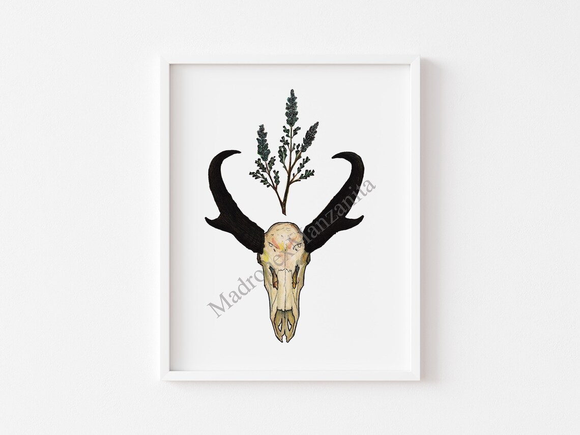 Pronghorn Skull with Sage Sprig Southwestern Boho Art Poster