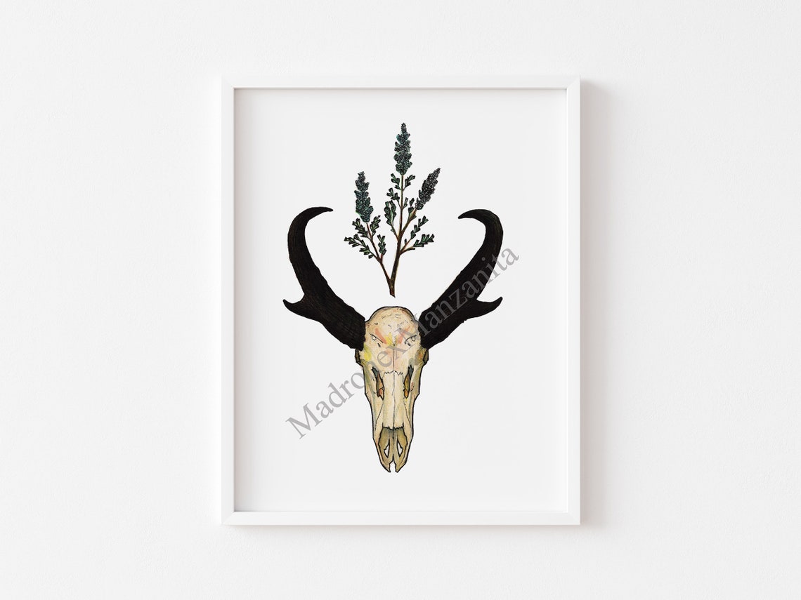 Southwestern Pronghorn Skull Sage Print Boho Spirit Animal Wall Art