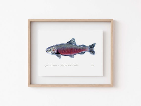 Coho Salmon Print, Oregon Cabin Decor Art