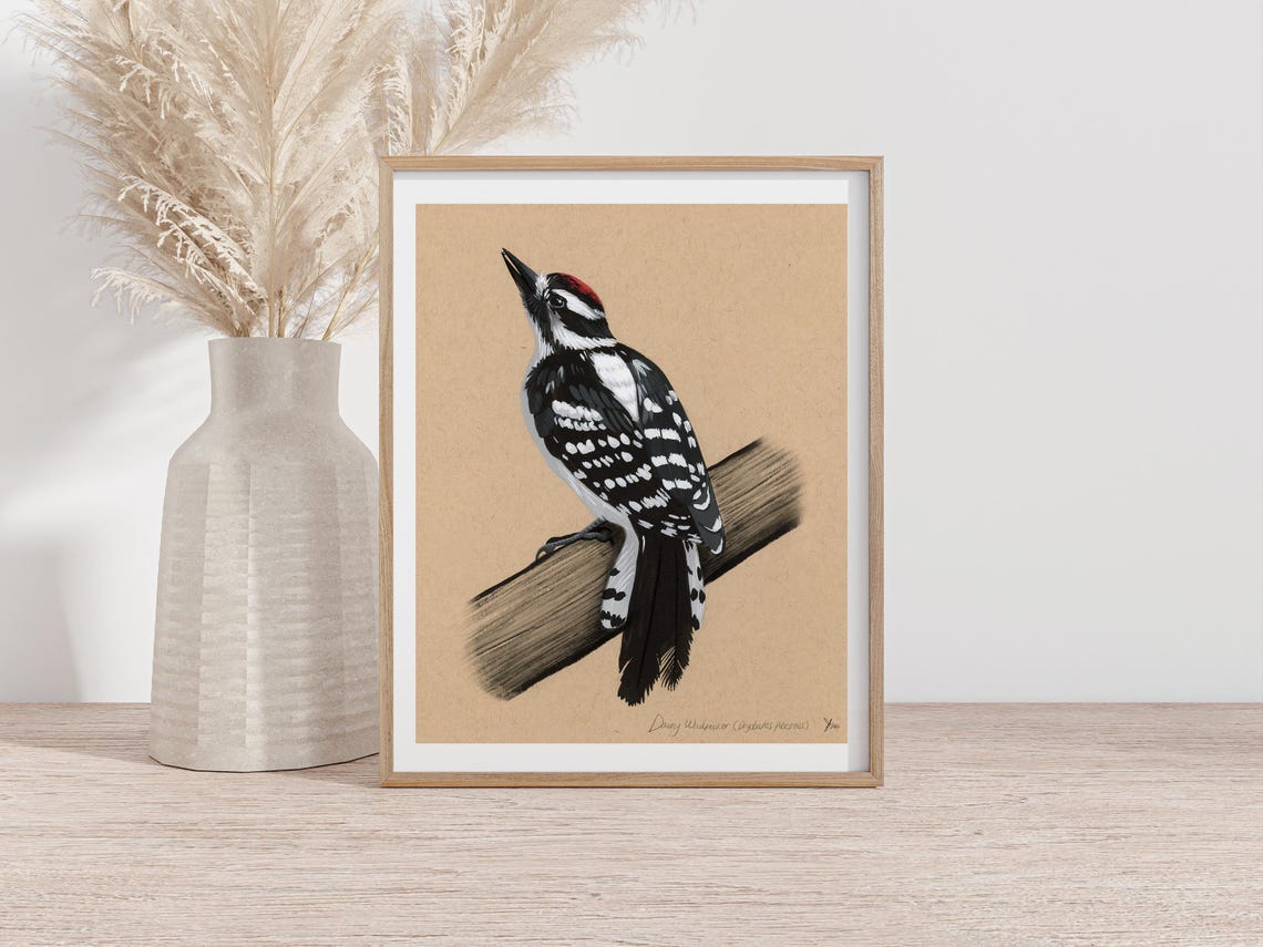 Downy Woodpecker on Kraft Paper Vintage Style Bird Art Poster - Image 2