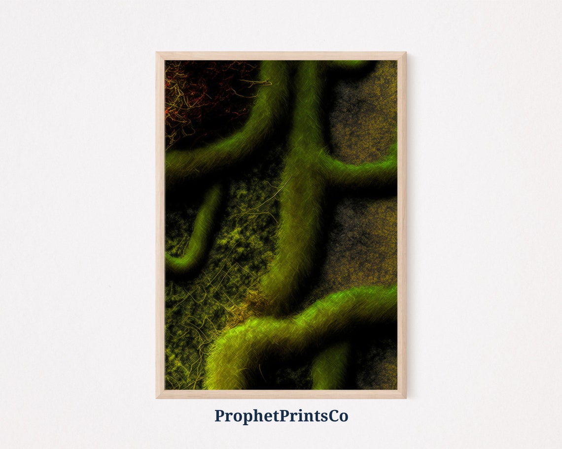 Ancient Moss Covered Roots in Dark Forest Abstract Nature Poster