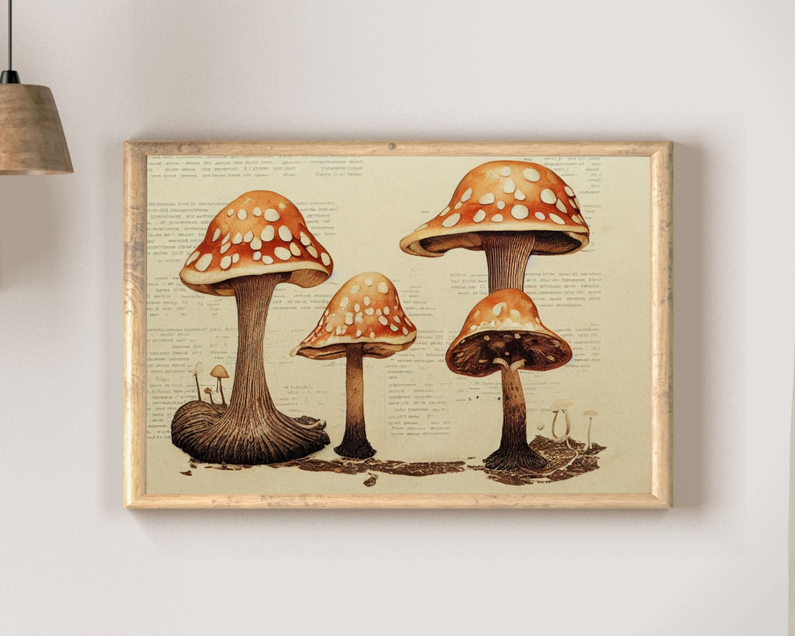 Vintage Fly Agaric Mushroom Botanical Book Page Illustration Poster - Image 2