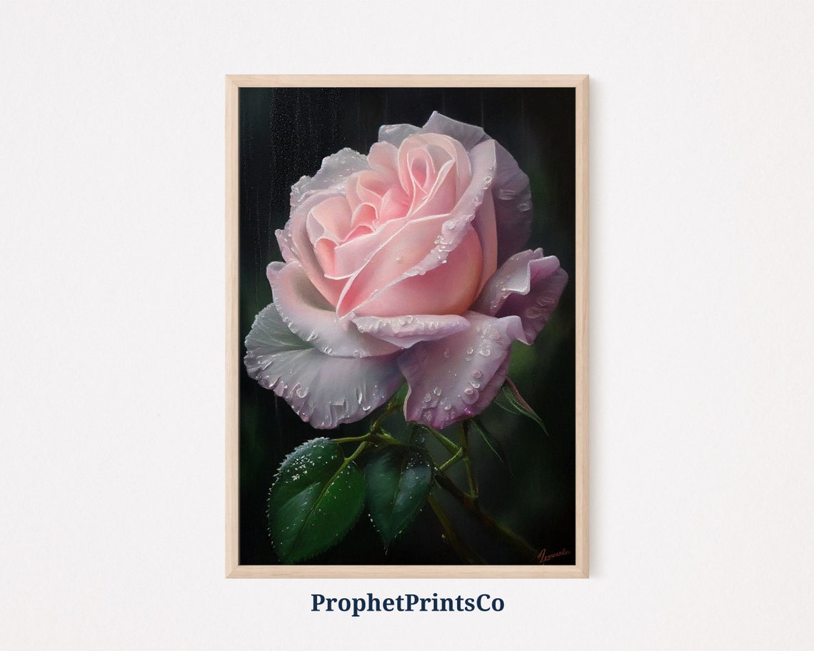 Pink Rose Covered in Morning Dew on a Dark Background Poster