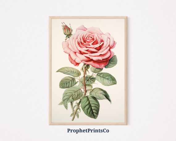 Vintage Rose Poster Print Botanical Wall Art Boho Floral Painting Cute Red Roses Home Dcor Wall Art