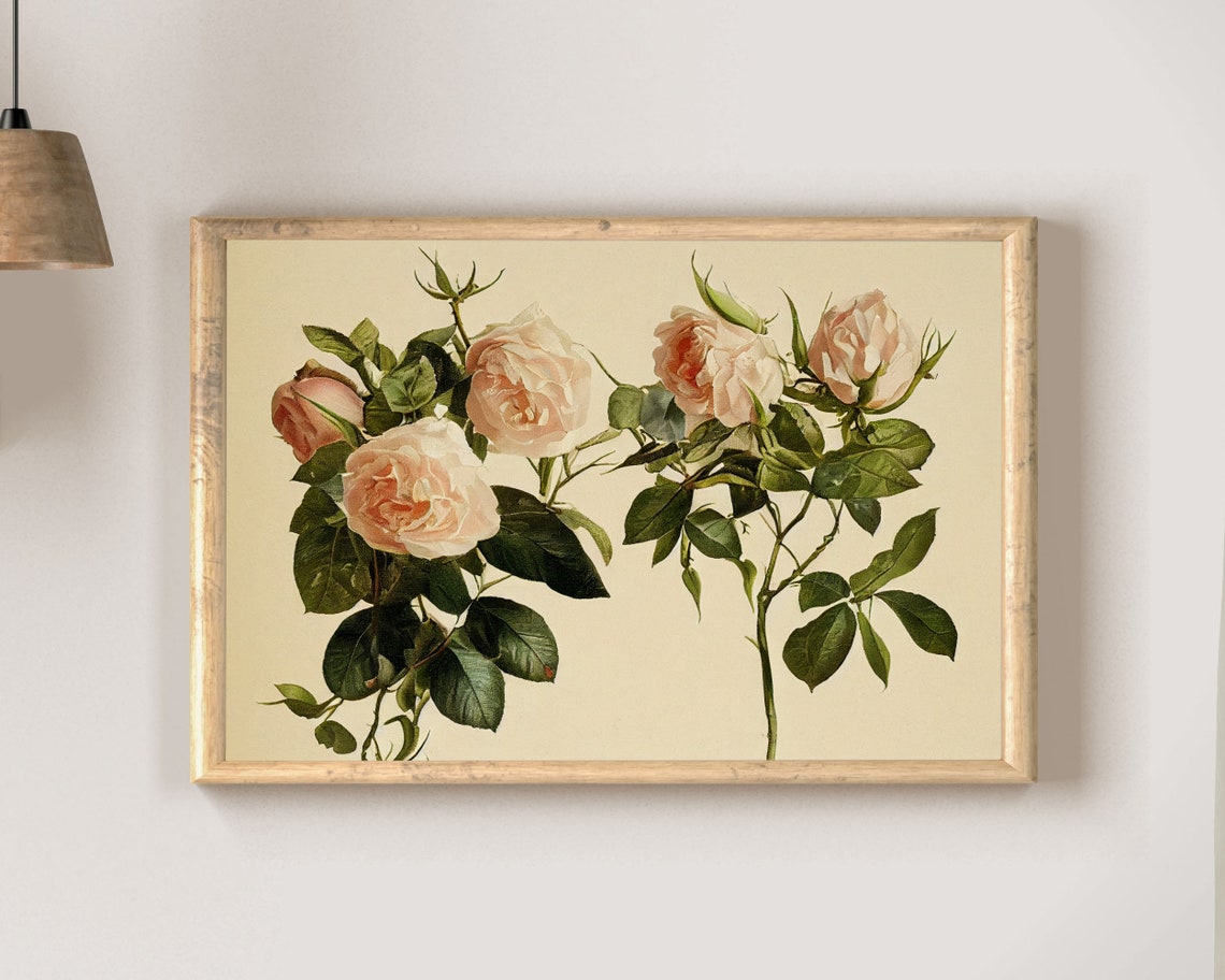 Cream Garden Rose Stems Vintage Botanical Illustration Poster - Image 2