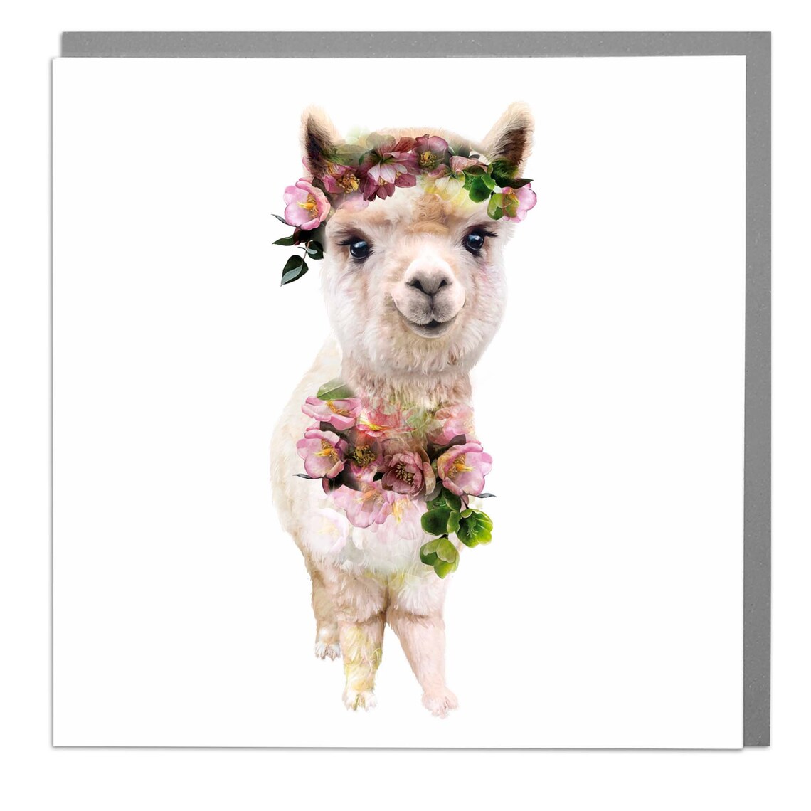 Cute Alpaca Art Print, Lola Design