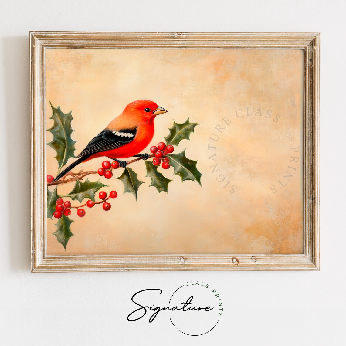 Scarlet Tanager on Holly Branch with Red Berries Bird Art Poster