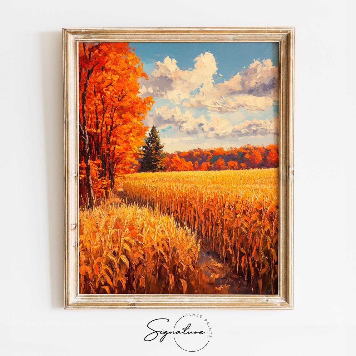 Golden Cornfield Path Bordered By Blazing Red Autumn Trees Poster