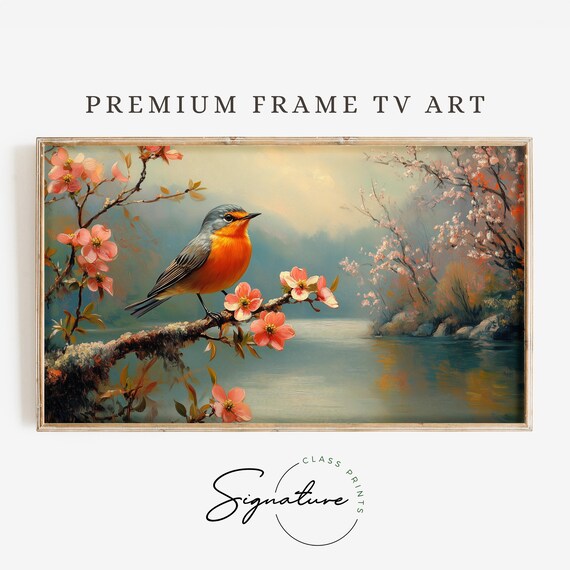 Robin On Cherry Blossom Branch Above Calm River Spring Poster