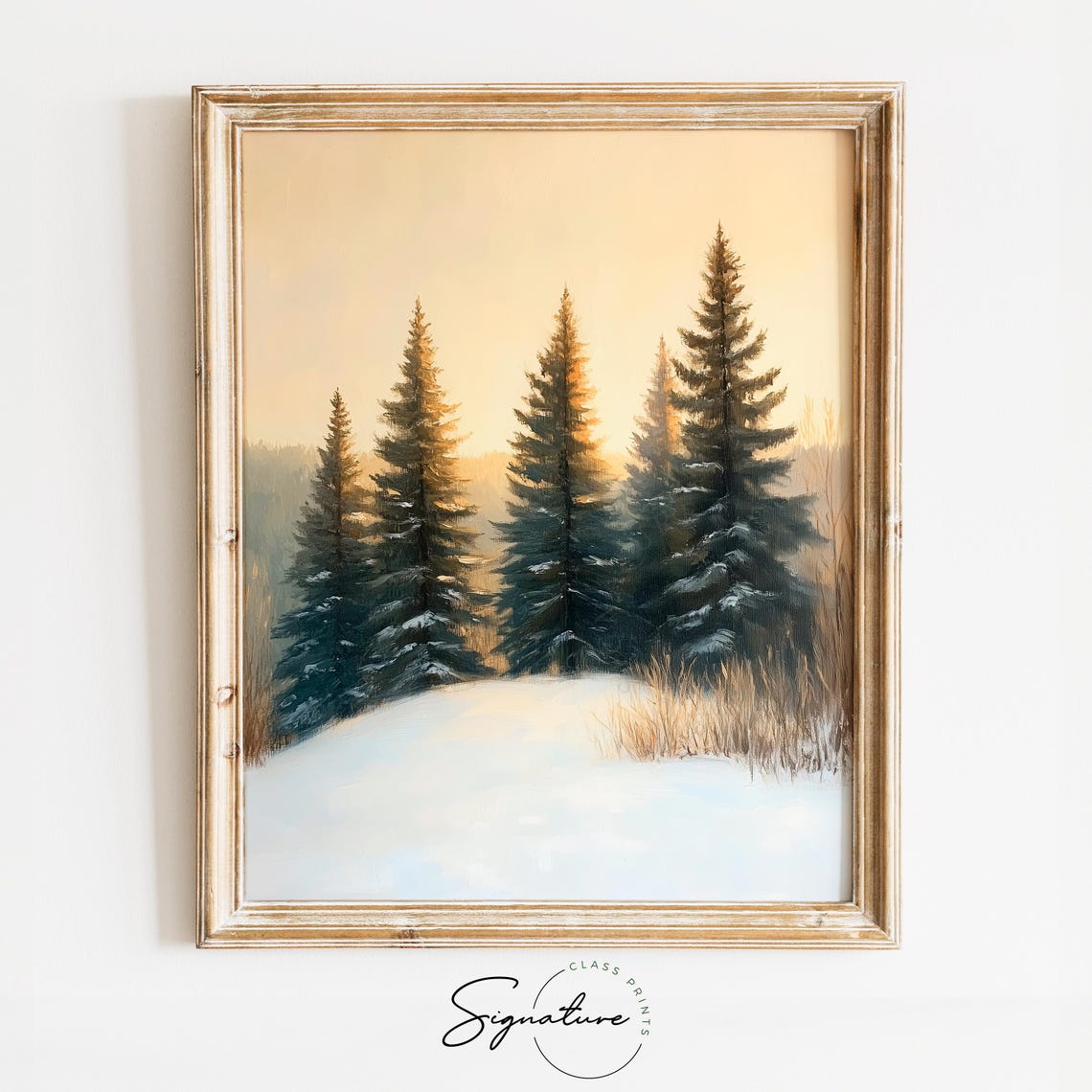 Tall Snowy Pines on Gentle Hill at Dawn Winter Landscape Poster