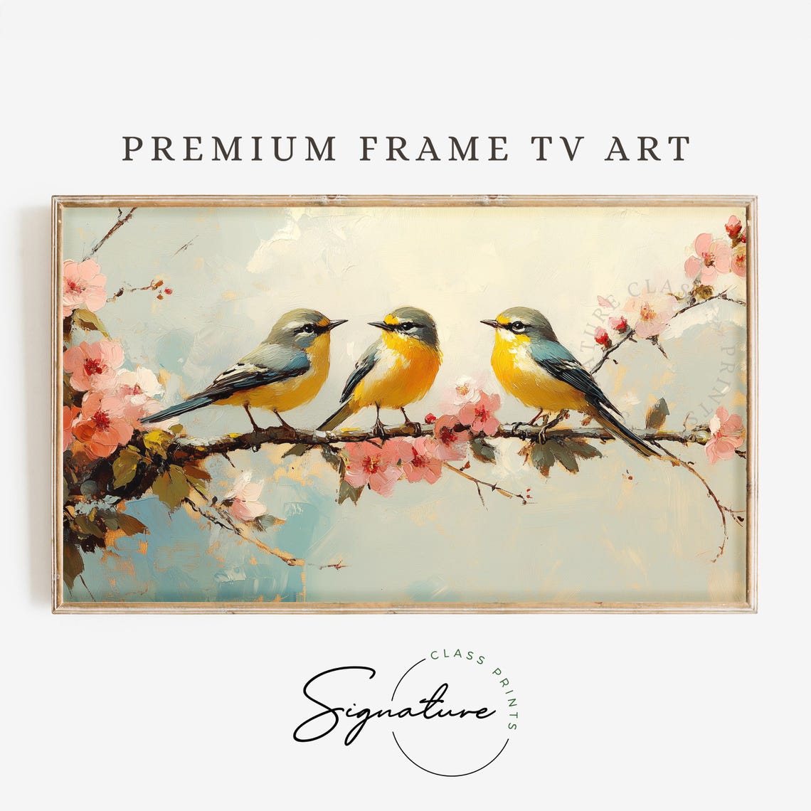 Three Golden Yellow Songbirds On Pink Cherry Blossom Branch Poster