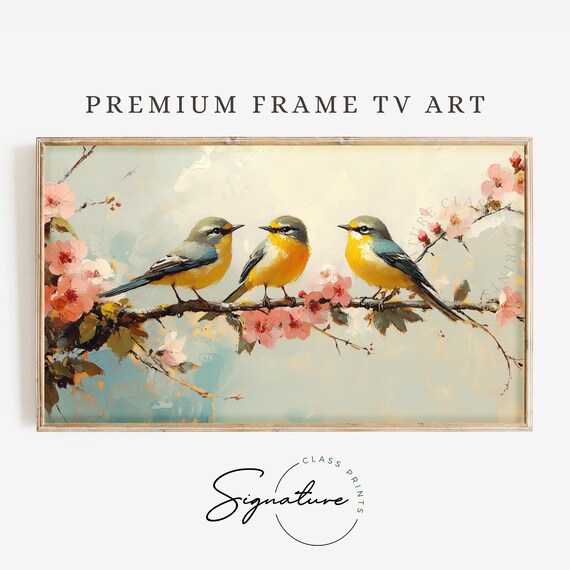 Three Golden Yellow Songbirds On Pink Cherry Blossom Branch Poster
