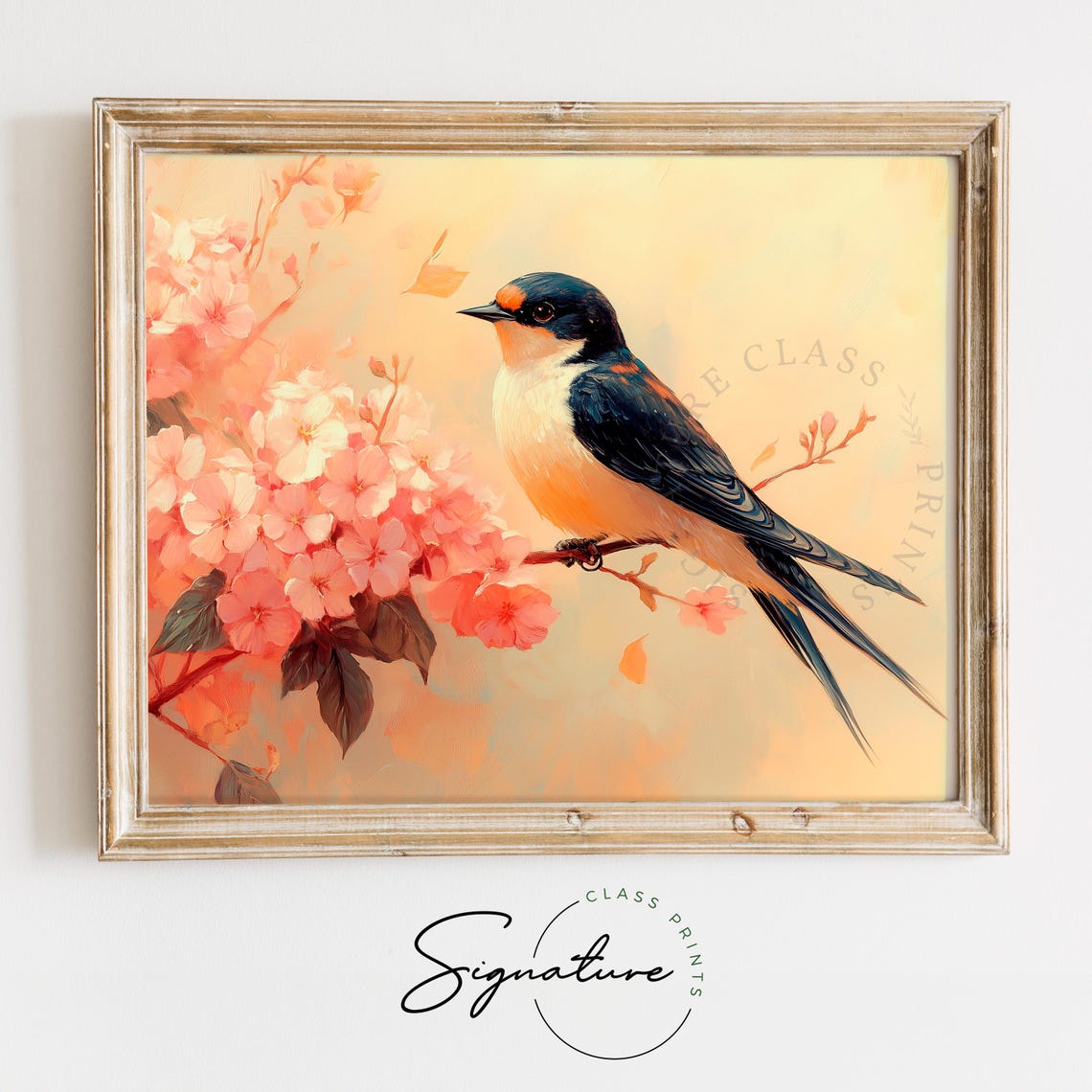 Barn Swallow On Cherry Blossom Branch Warm Peachy Tones Poster