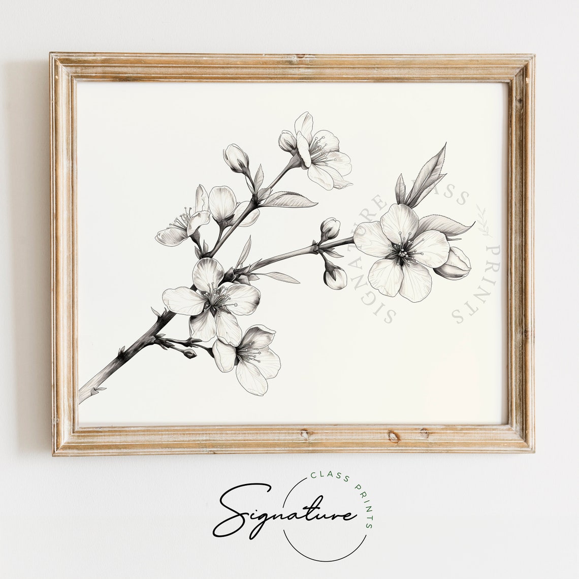 Blossoming Branch Elegant Floral Botanical Sketch Minimalist Poster