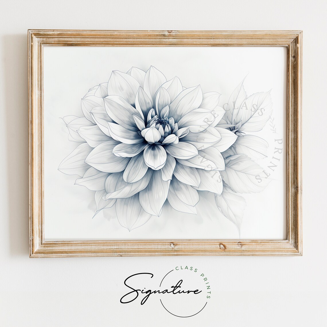 Dahlia Bloom Petal Soft Gray Blue Botanical Illustration Poster