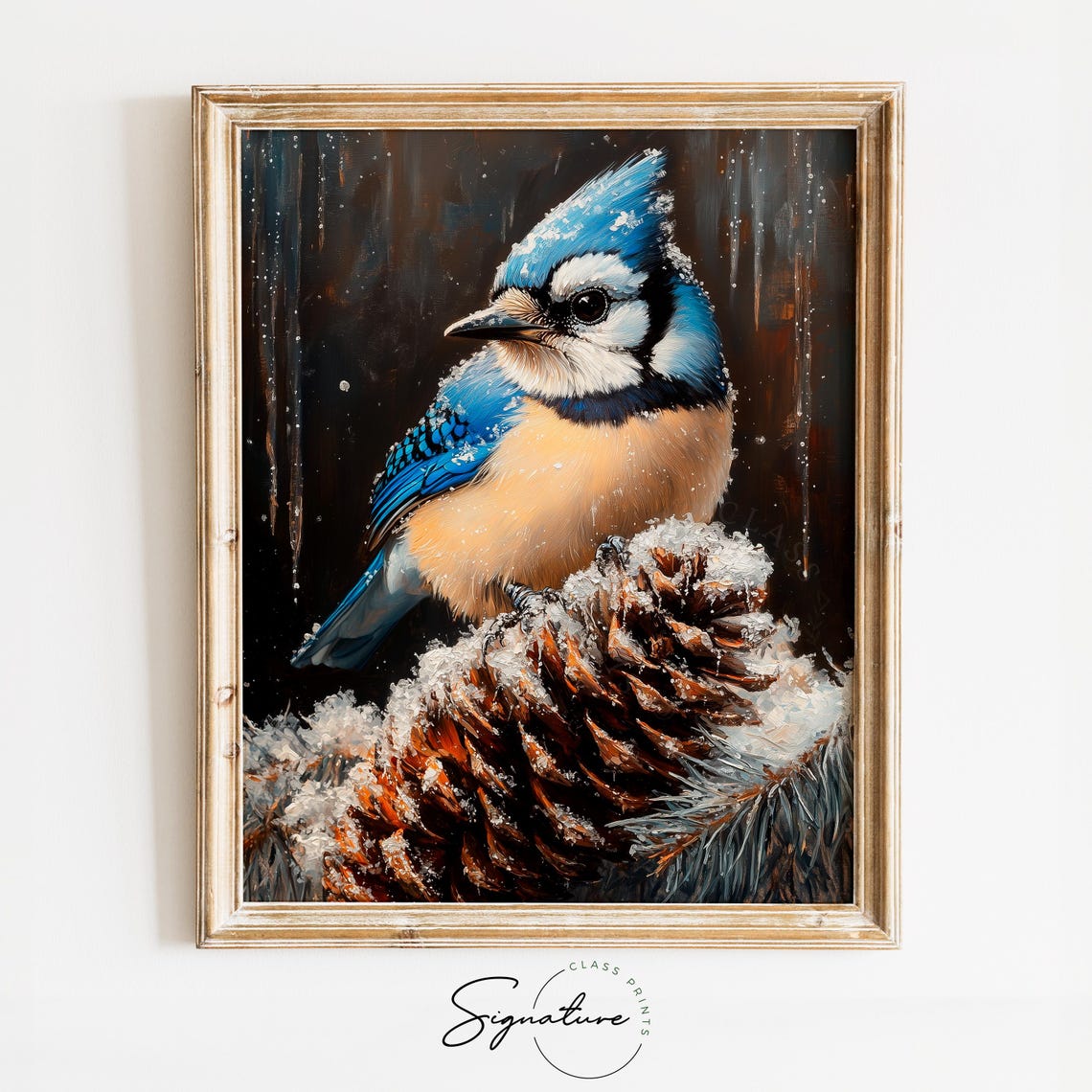 Blue Jay Perched On Snowy Pinecone Dark Winter Bird Portrait Poster