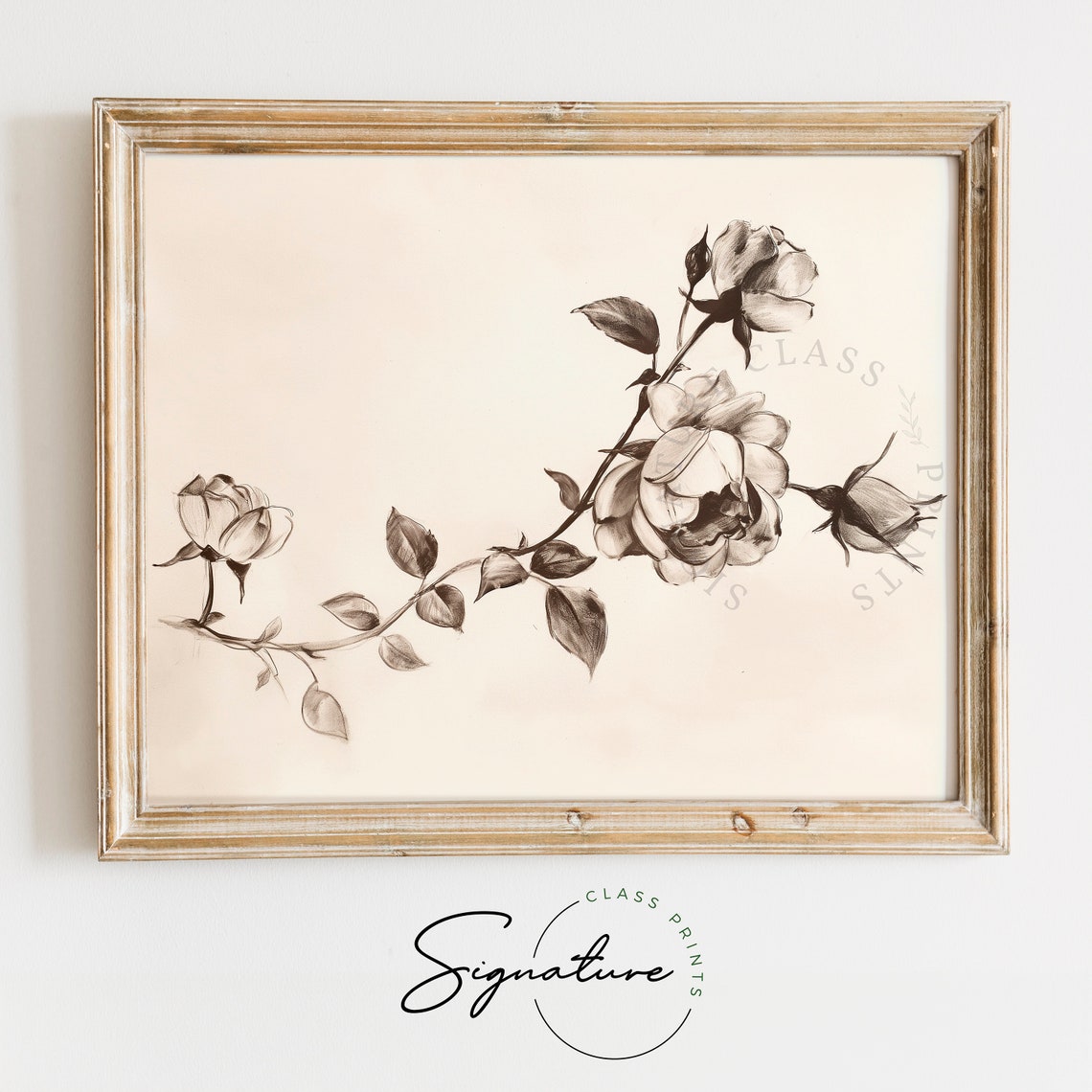 Rose Branch Sepia Pencil Sketch Elegant Vintage Bloom Floral Poster