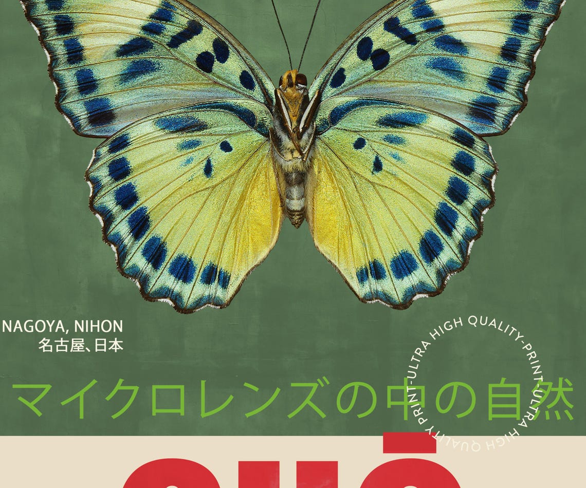 Cho Japanese Butterfly Specimen Art Green Vintage Exhibition Poster - Image 5