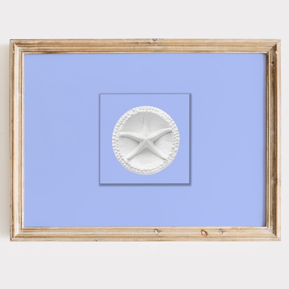 White Sand Dollar on Ocean Blue Minimal Coastal Decor Art Poster