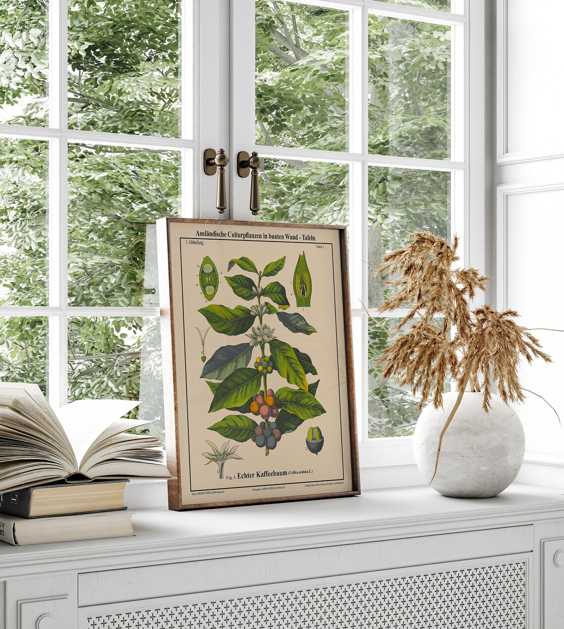 Coffee Botanical Art Print, Coffea Arabica Cafe Decor - Image 2