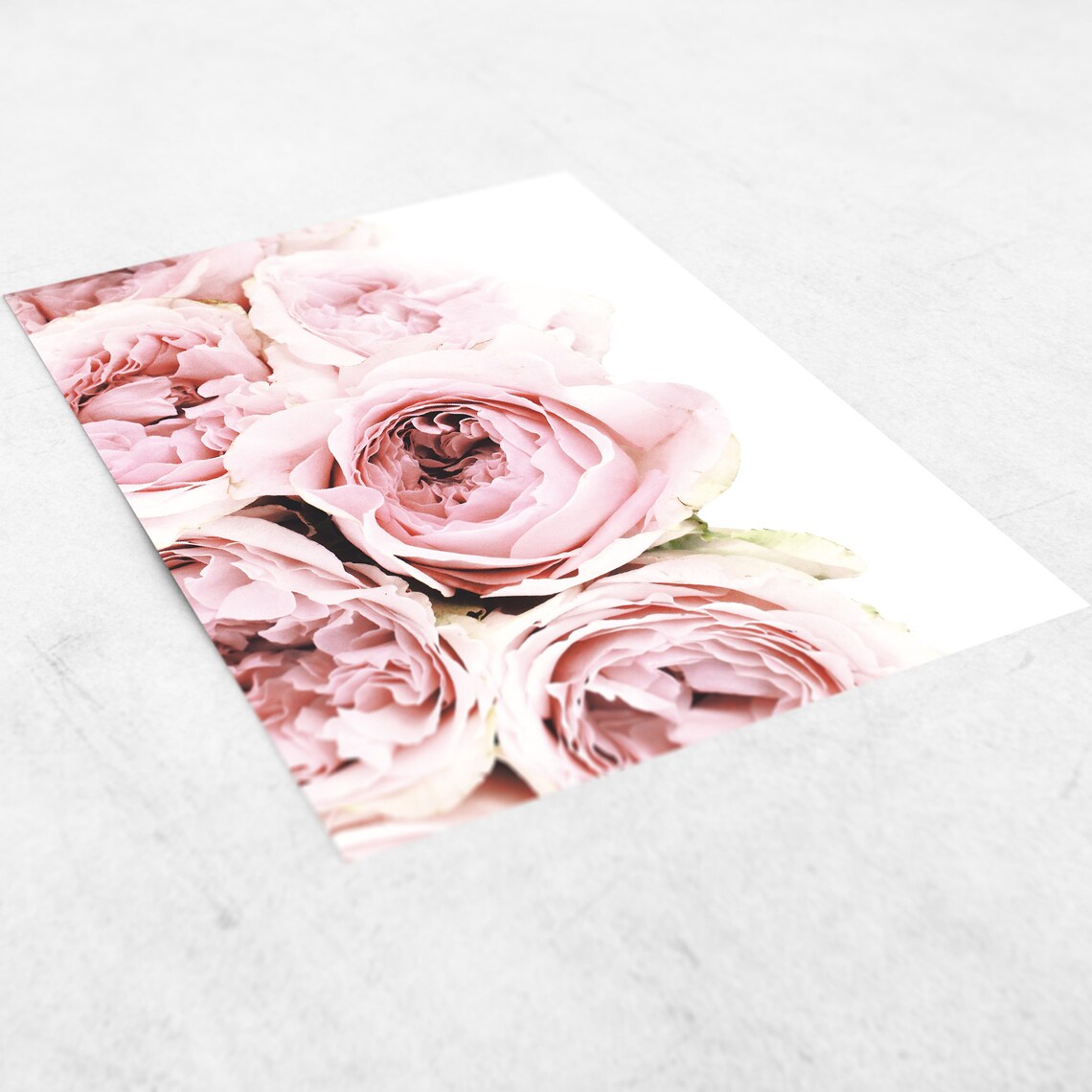 Pink Peonies Soft Floral Blossom Bloom Photography Art Poster - Image 2