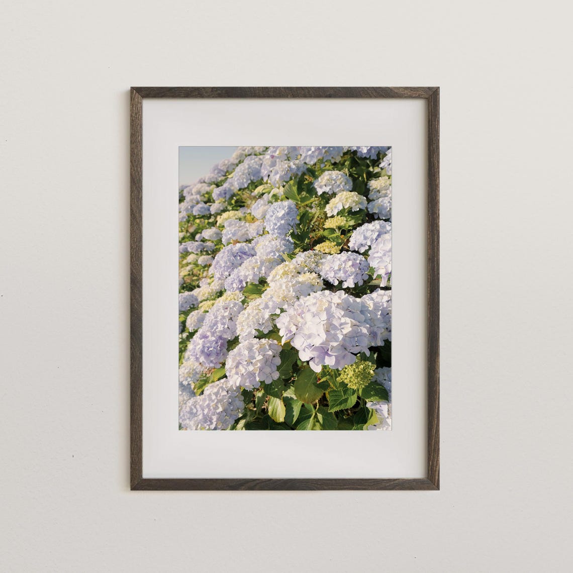 Lilac Hydrangea Blooms Garden Floral Photo Sunlit Vertical Poster - Image 5